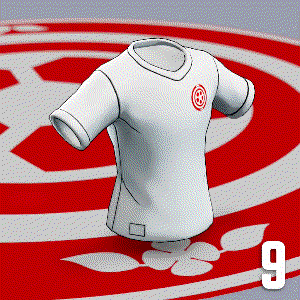 Denmark Away Jersey 9